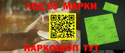 гидропоника Кингисепп
