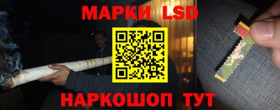 гидропоника Кингисепп