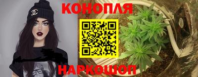 гидропоника Кингисепп